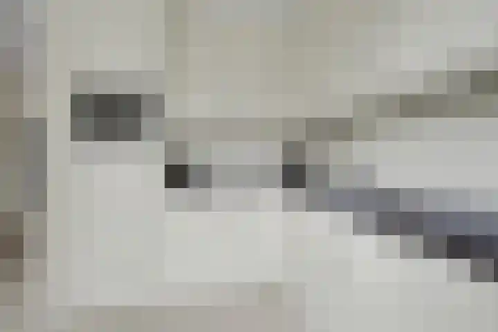 De Dieze 1 Goirle thumbnail 14