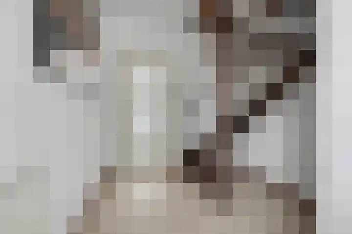 De Dieze 1 Goirle thumbnail 16