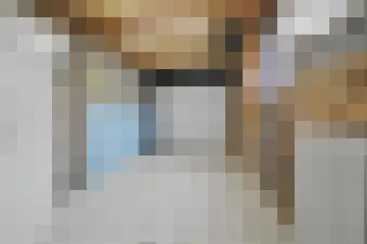 De Dieze 1 Goirle thumbnail 17