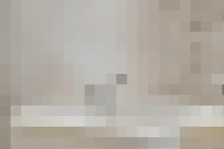 De Dieze 1 Goirle thumbnail 26