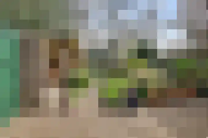 De Dieze 1 Goirle thumbnail 32