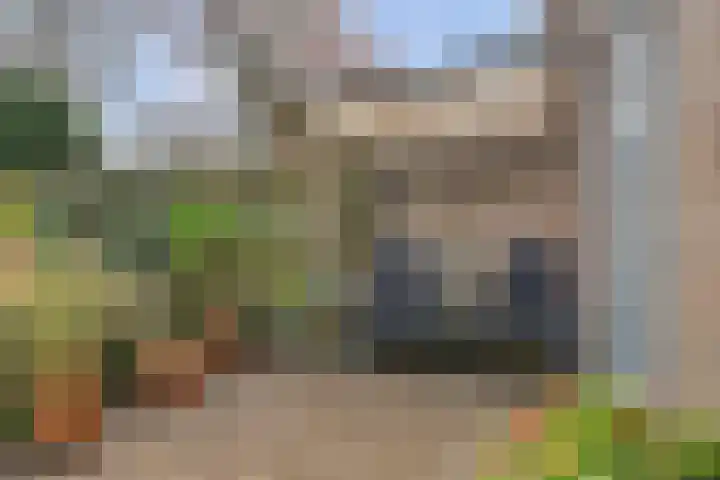 De Dieze 1 Goirle thumbnail 33