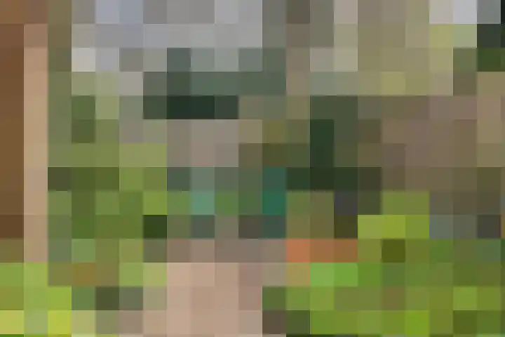 De Dieze 1 Goirle thumbnail 34