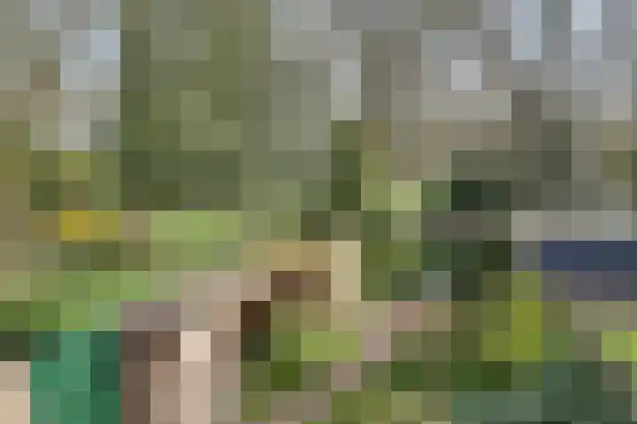 De Dieze 1 Goirle thumbnail 36
