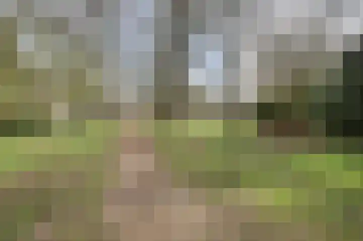De Dieze 1 Goirle thumbnail 37