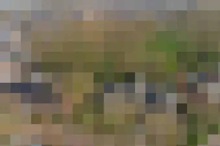 De Dieze 1 Goirle thumbnail 38