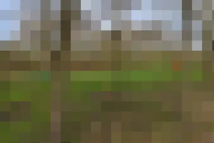 De Dieze 1 Goirle thumbnail 40