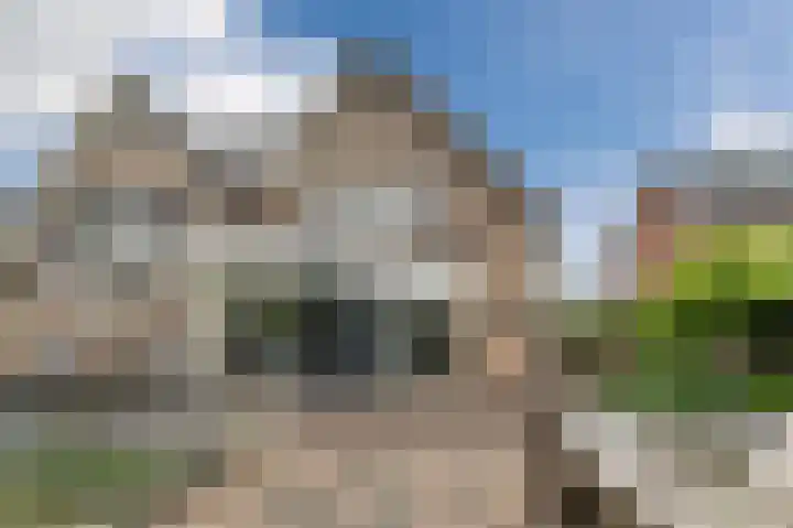 De Dijk 12 A Rhenen thumbnail 62