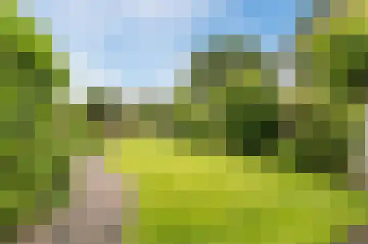 De Dijk 12 A Rhenen thumbnail 65