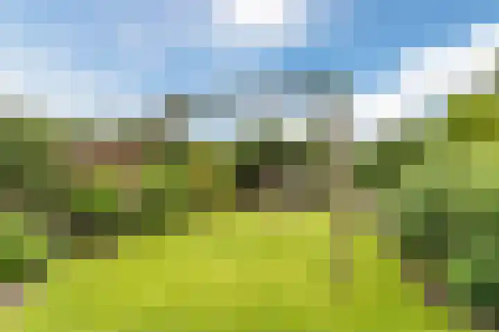 De Dijk 12 A Rhenen thumbnail 66