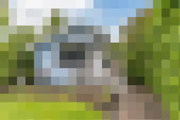 De Dijk 12 A Rhenen thumbnail 70