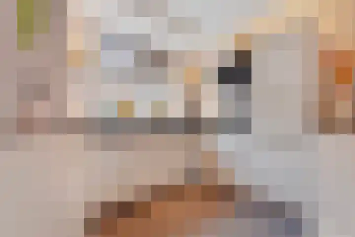 De Dijkkavel 4 Volendam thumbnail 13