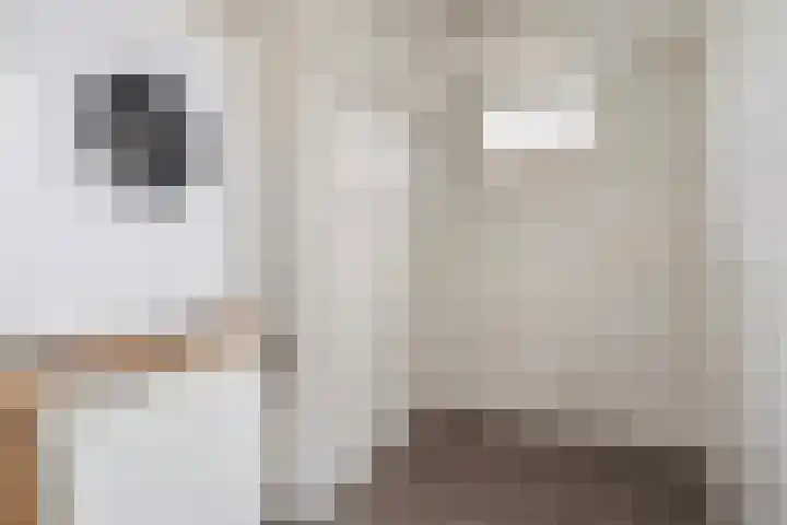 De Dijkkavel 4 Volendam thumbnail 17