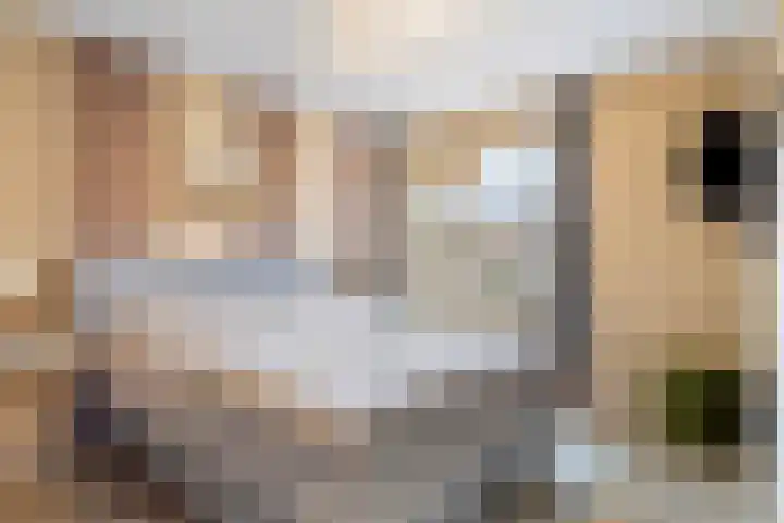 De Dijkkavel 4 Volendam thumbnail 18
