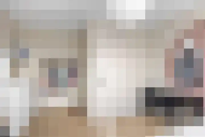 De Diken 4 Bolsward thumbnail 23