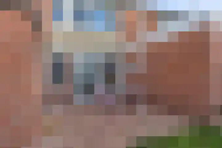 De Diken 4 Bolsward thumbnail 30