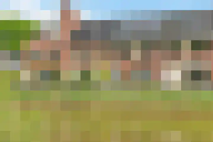 de Dinkel 6 Delden thumbnail 11