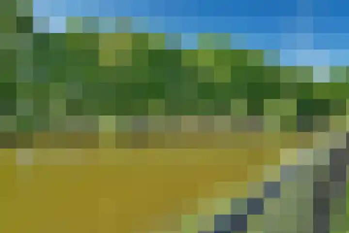 de Dinkel 6 Delden thumbnail 15