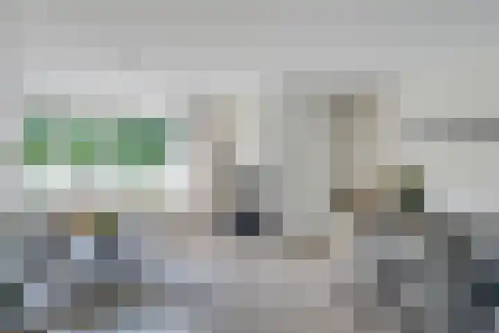 de Dinkel 6 Delden thumbnail 20