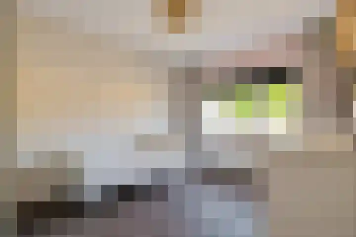de Dinkel 6 Delden thumbnail 33