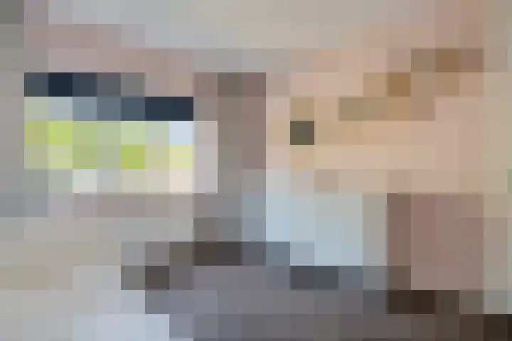 de Dinkel 6 Delden thumbnail 34