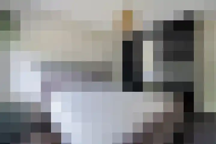 de Dinkel 6 Delden thumbnail 37