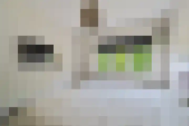 de Dinkel 6 Delden thumbnail 38