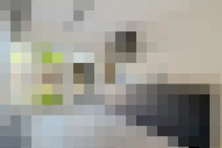 de Dinkel 6 Delden thumbnail 4