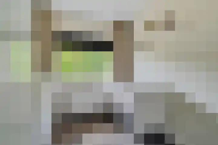 de Dinkel 6 Delden thumbnail 40