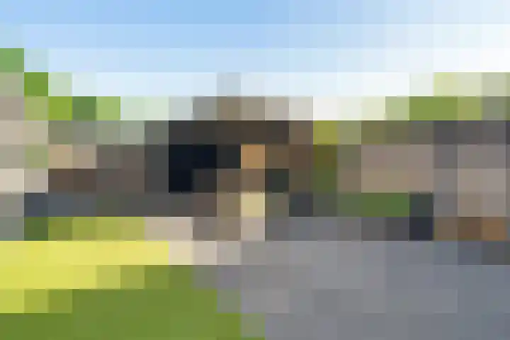 de Dinkel 6 Delden thumbnail 46