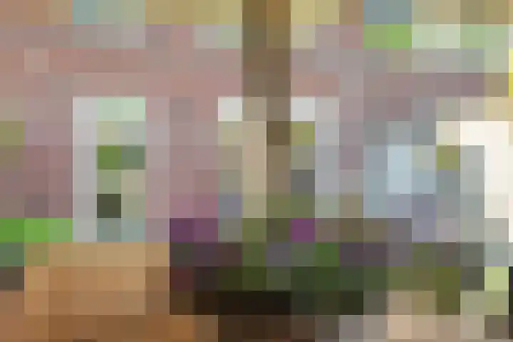de Dinkel 6 Delden thumbnail 47
