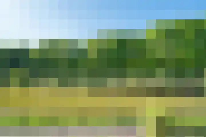 de Dinkel 6 Delden thumbnail 6