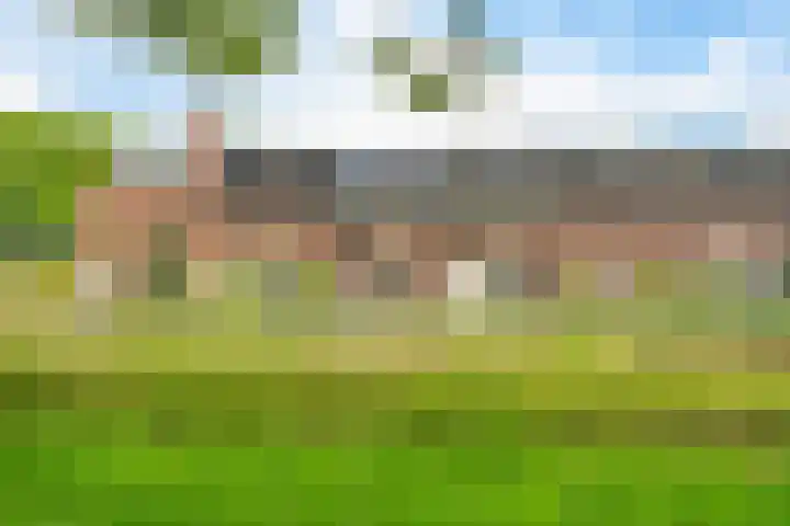 de Dinkel 6 Delden thumbnail 9