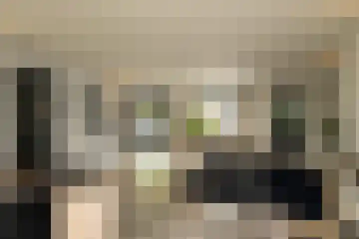 De Dintel 15 Naaldwijk thumbnail 10