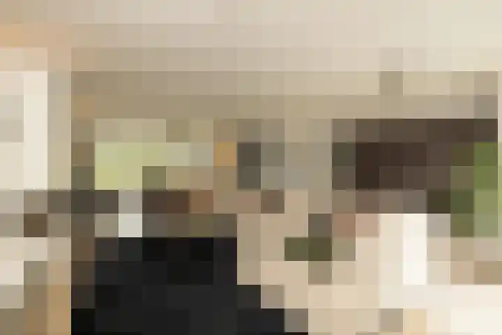 De Dintel 15 Naaldwijk thumbnail 12