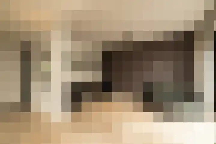 De Dintel 15 Naaldwijk thumbnail 13
