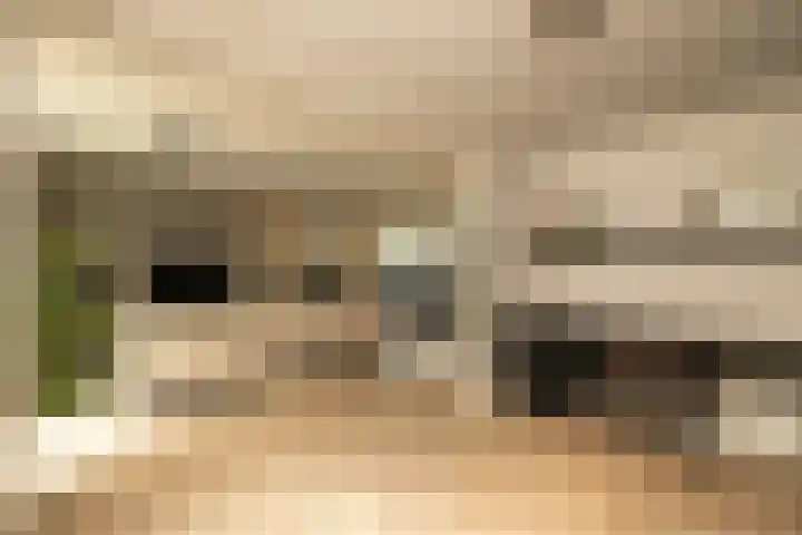 De Dintel 15 Naaldwijk thumbnail 14