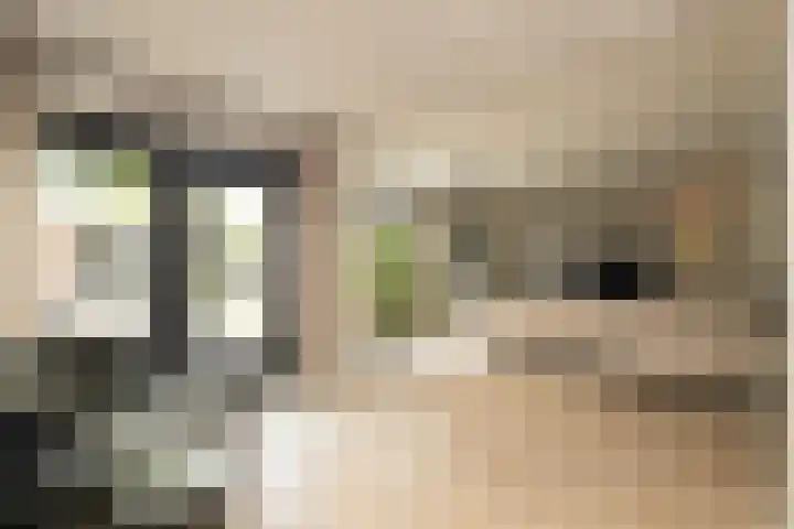 De Dintel 15 Naaldwijk thumbnail 15
