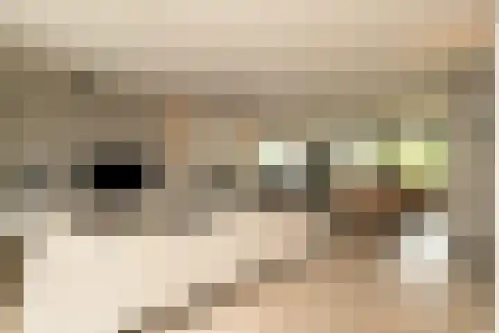 De Dintel 15 Naaldwijk thumbnail 16