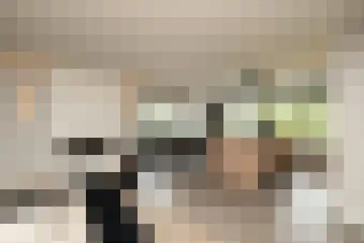 De Dintel 15 Naaldwijk thumbnail 17