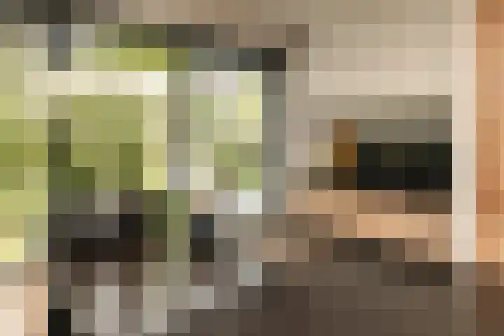 De Dintel 15 Naaldwijk thumbnail 21