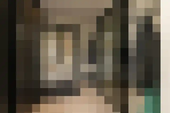 De Dintel 15 Naaldwijk thumbnail 22