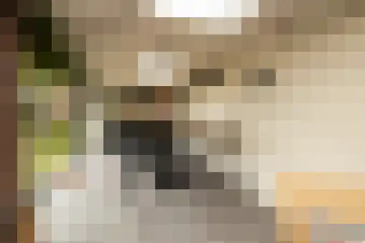 De Dintel 15 Naaldwijk thumbnail 24