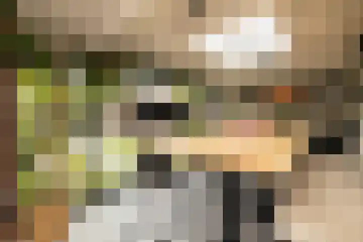 De Dintel 15 Naaldwijk thumbnail 25