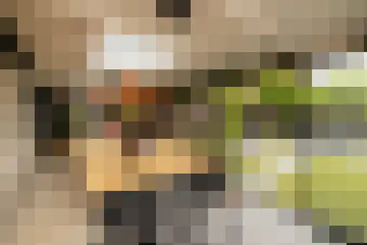 De Dintel 15 Naaldwijk thumbnail 26