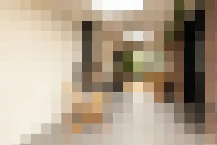 De Dintel 15 Naaldwijk thumbnail 27