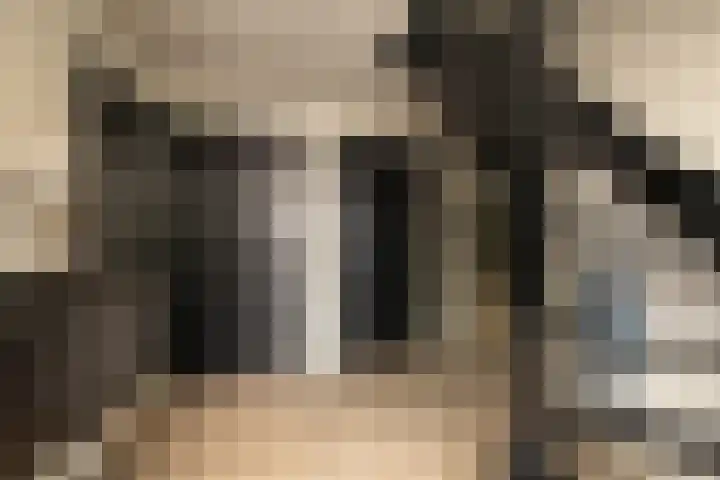 De Dintel 15 Naaldwijk thumbnail 28