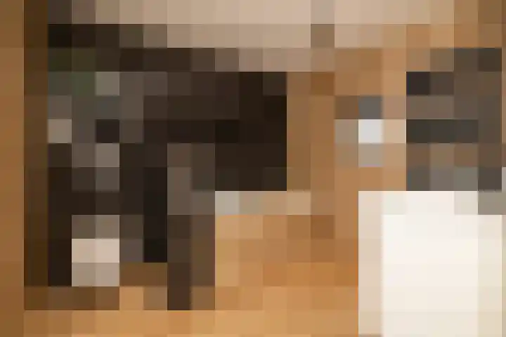 De Dintel 15 Naaldwijk thumbnail 31