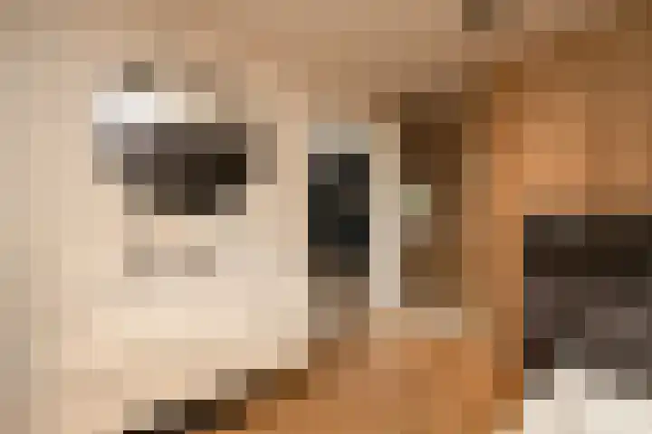 De Dintel 15 Naaldwijk thumbnail 32