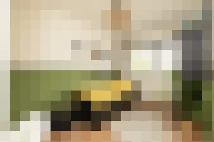 De Dintel 15 Naaldwijk thumbnail 33